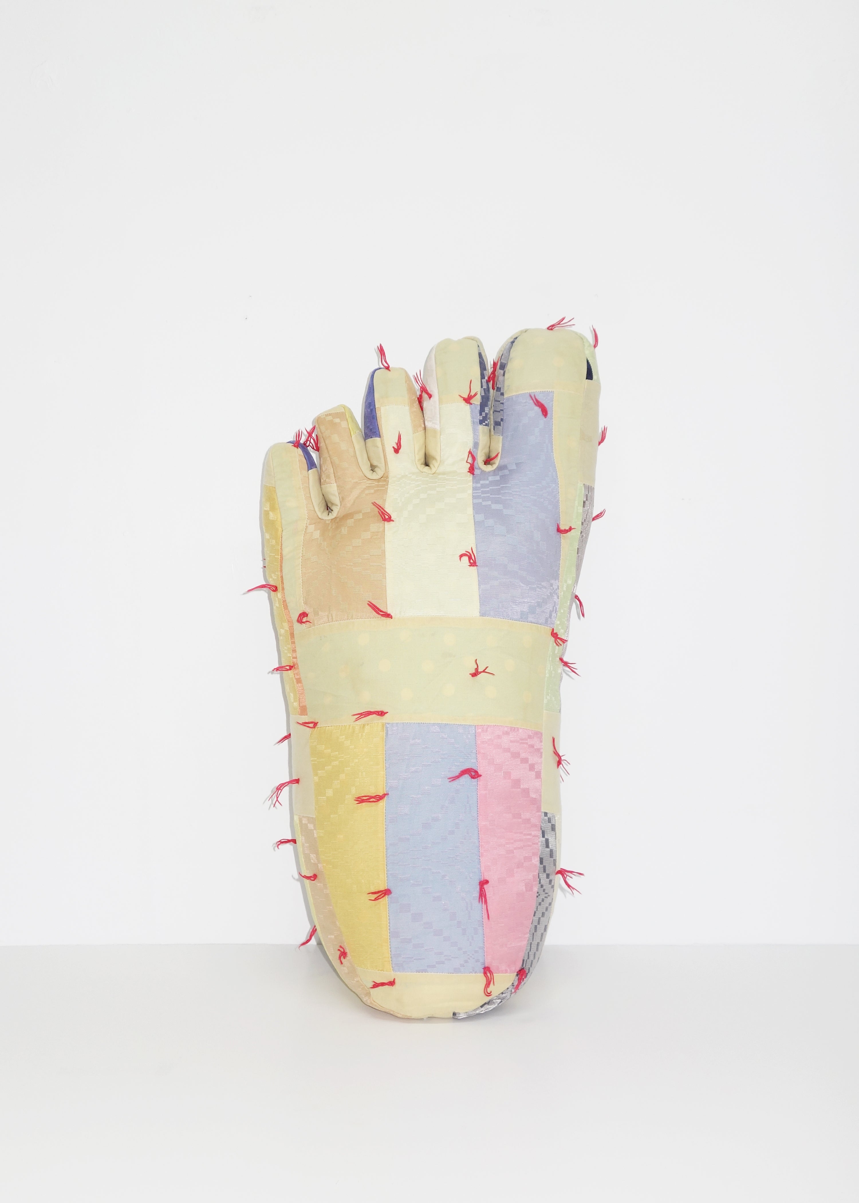 Foot in Geometric Quilt